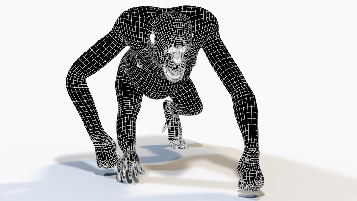Female Orangutan 3D Model Wireframe View 1
