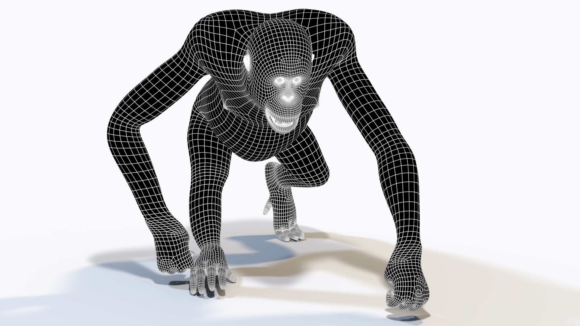 Female Orangutan 3D Model Wireframe View 1