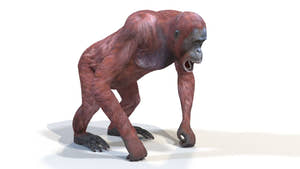 Rigged Female Orangutan 3D Model for Download Thumbnail