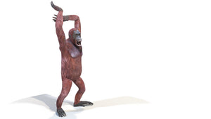 Rigged Female Orangutan 3D Model for Download Thumbnail