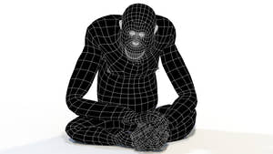 Female Orangutan 3D Model Wireframe View - Subdivision Level 0 Thumbnail