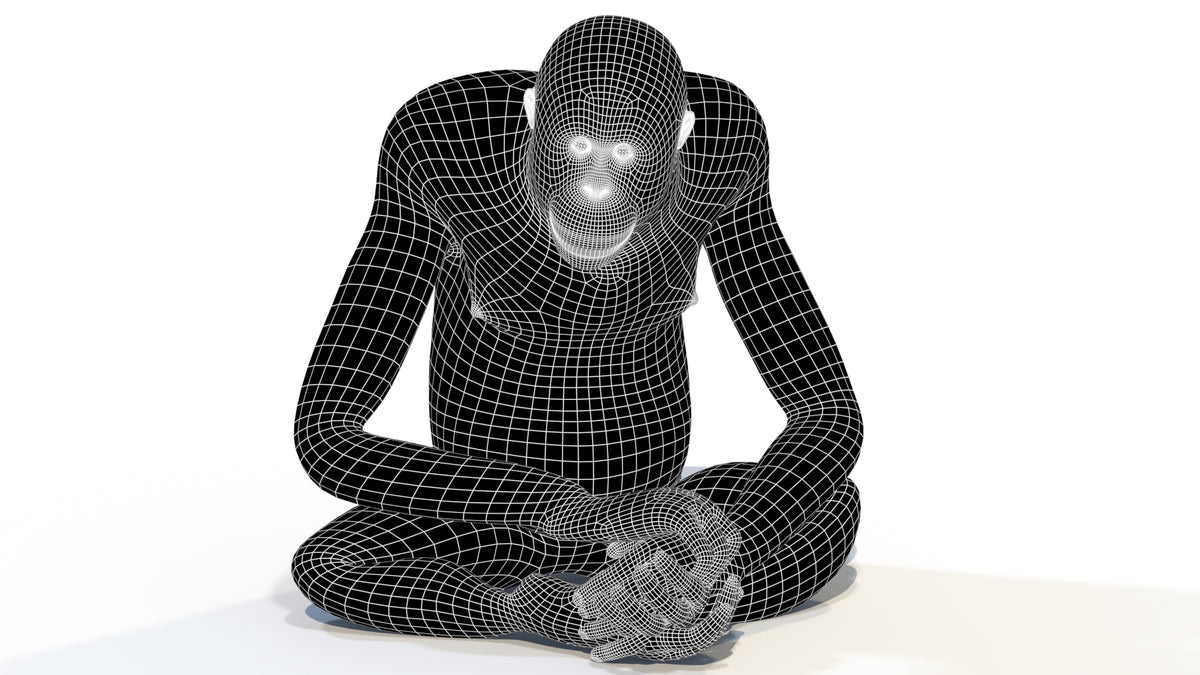 Female Orangutan 3D Model Wireframe View - Subdivision Level 1