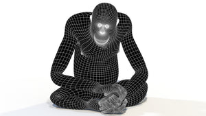 Female Orangutan 3D Model Wireframe View - Subdivision Level 1 Thumbnail