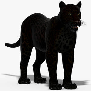 Realistic Black Panther 3D Model for Download Thumbnail