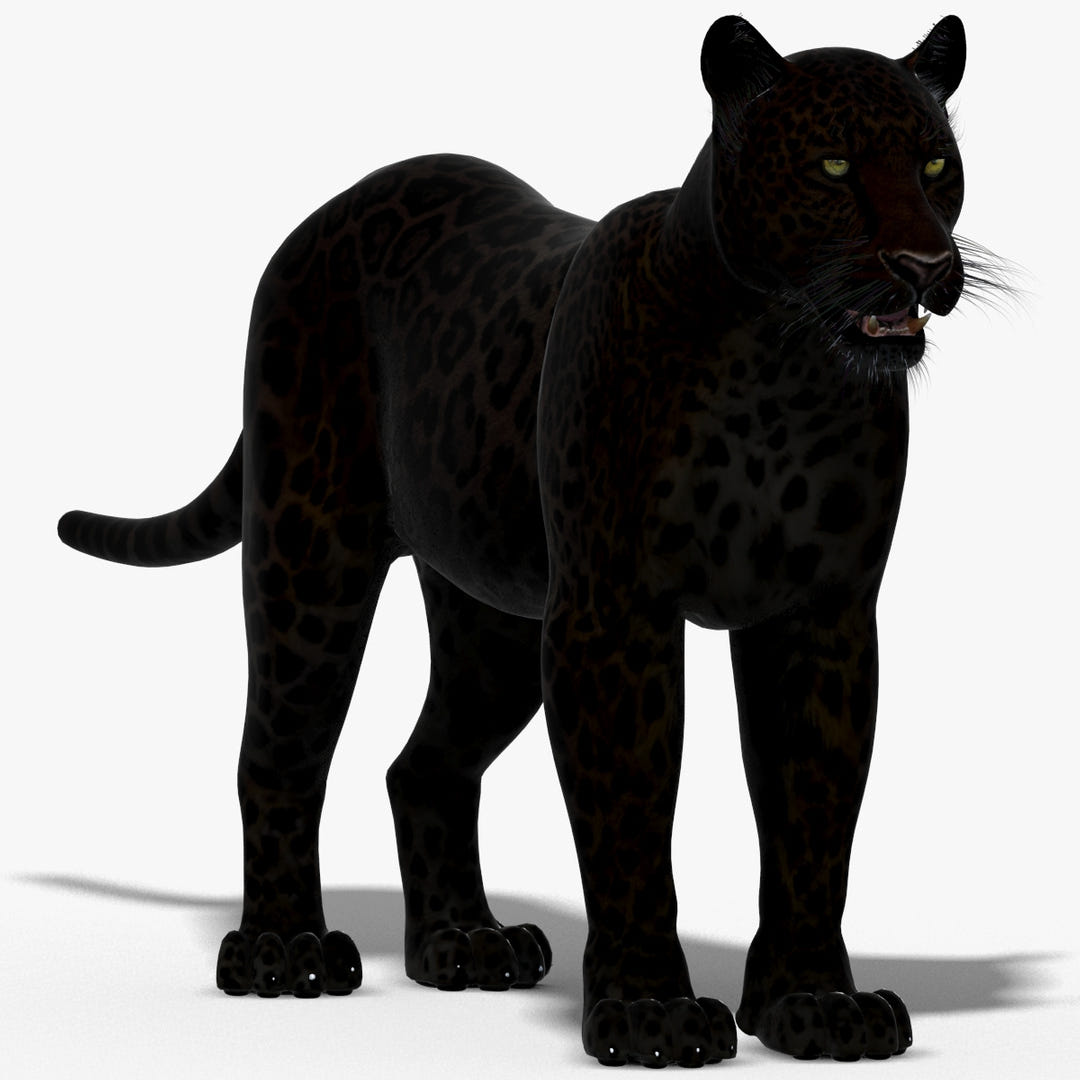 Realistic Black Panther 3D Model for Download