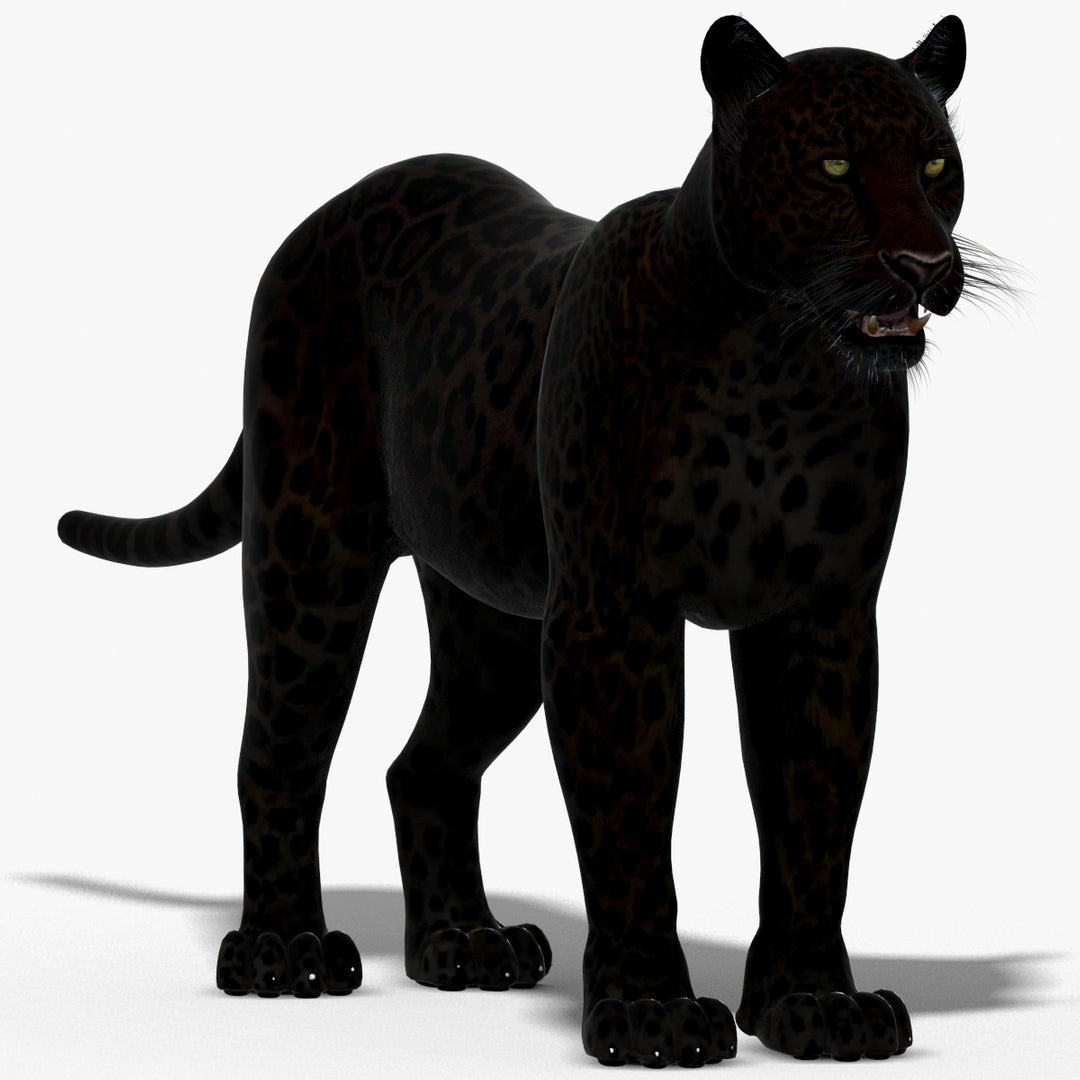 Realistic Black Panther 3D Model for Download