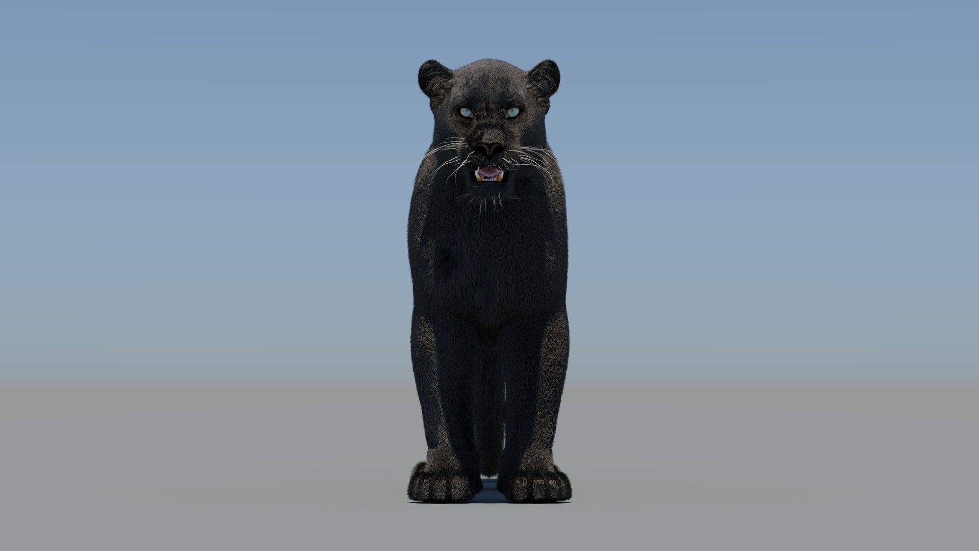 Black Panther 3D Model with Fur - 360 Degree View