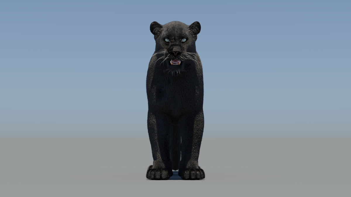 Animated Black Panther 3D Model Fur - 360 Degree View