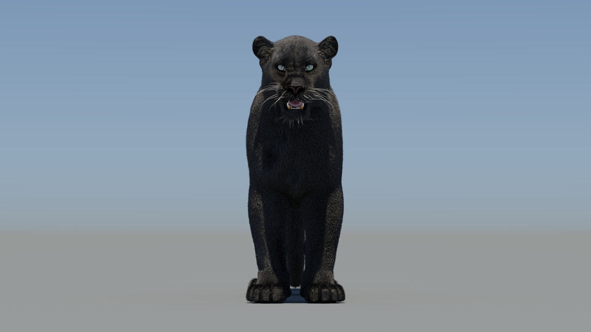 Animated Black Panther 3D Model Fur - 360 Degree View