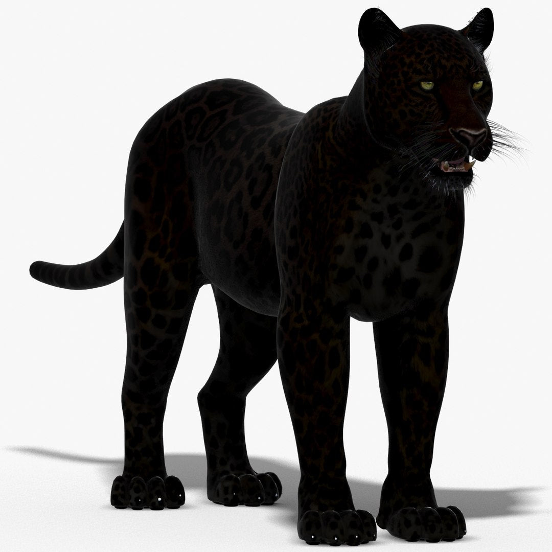 Big Cats: Black Panther 3D Model for Download