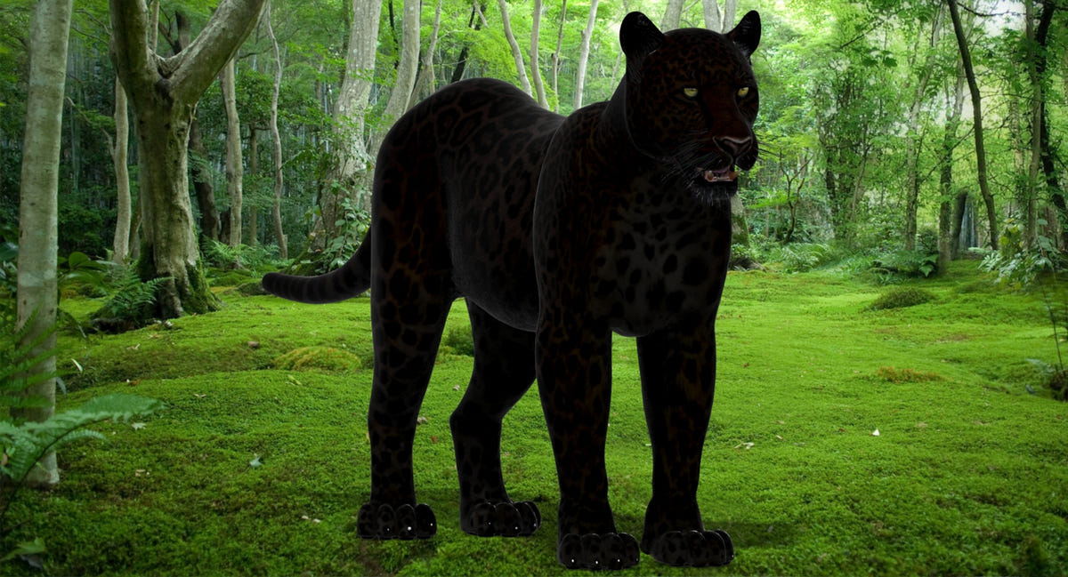 Realistic panther 3D Model for Download