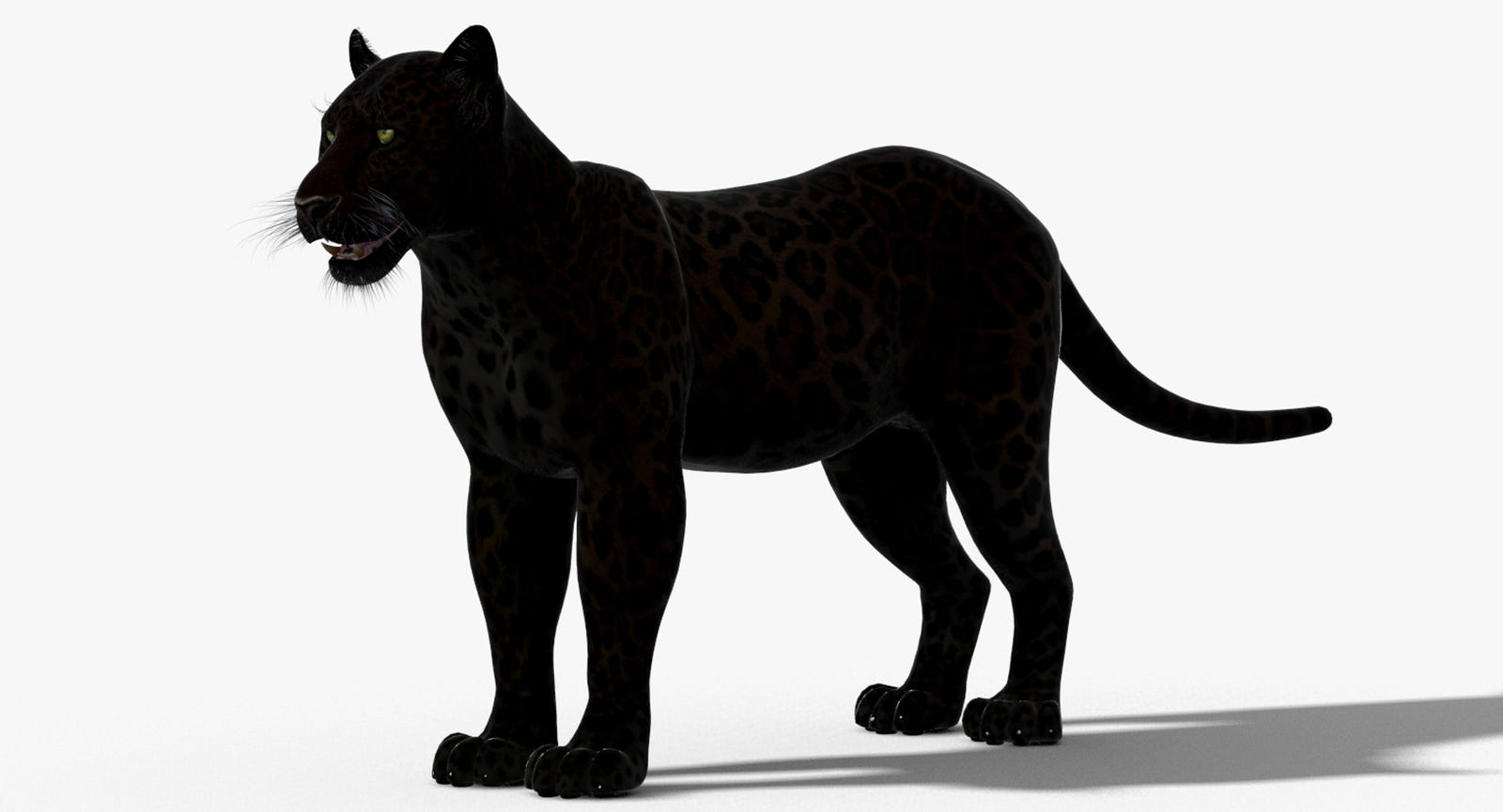 Realistic black panther 3D Model for Download