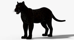 Big Cats 3D Model Thumbnail