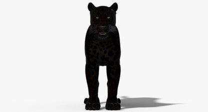 Big Cats 03 3D Model
