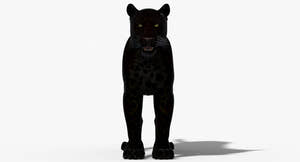 Big Cats 3D Model Thumbnail