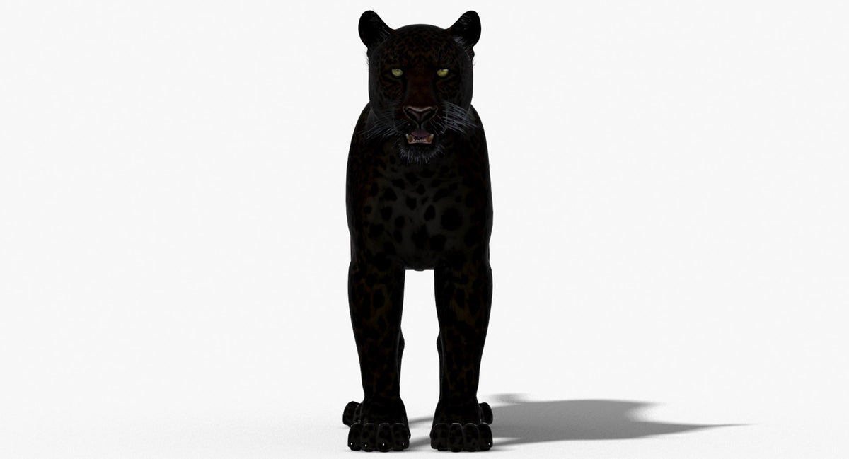 Big Cats 3D Model