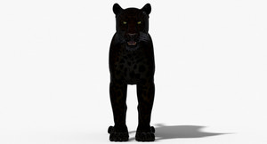 Big Cats 3D Model Thumbnail