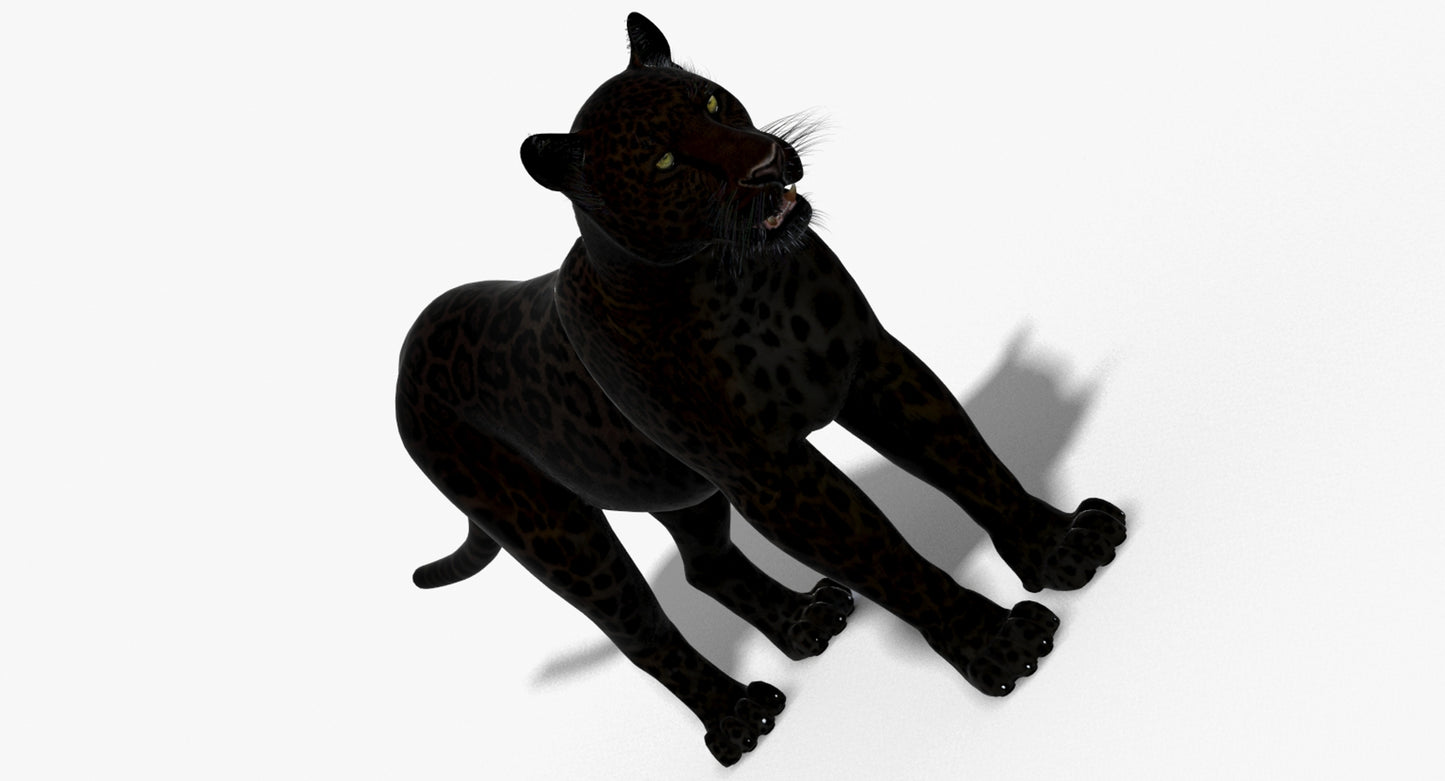 Big Cats 03 3D Model