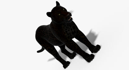 Big Cats 03 3D Model