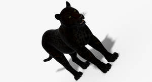 Big Cats 3D Model Thumbnail