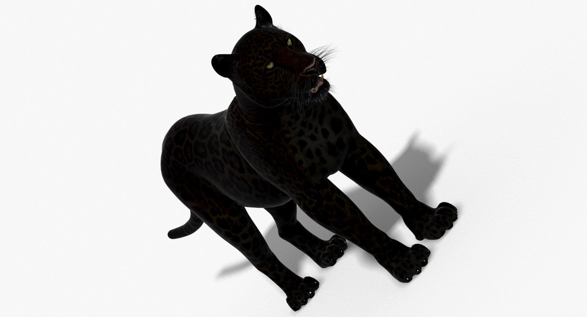 Big Cats 3D Model