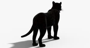Big Cats 3D Model Thumbnail