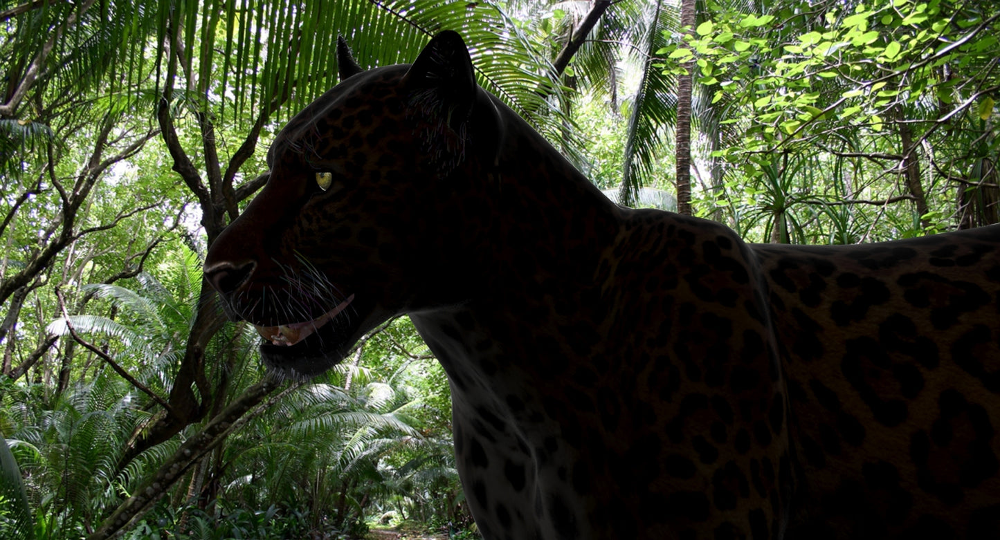Big Cats 03 3D Model