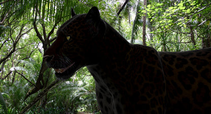 Big Cats 03 3D Model
