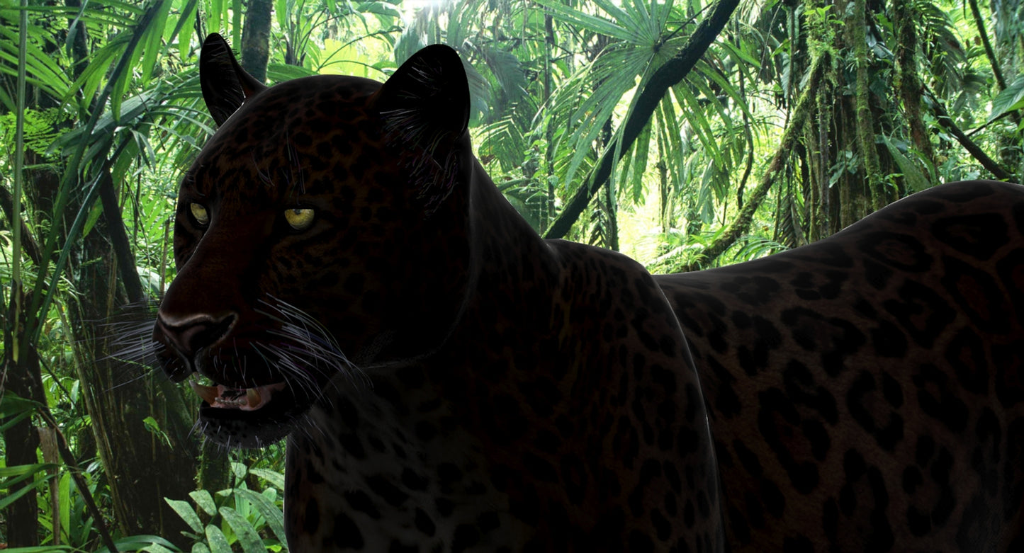 Big Cats 03 3D Model