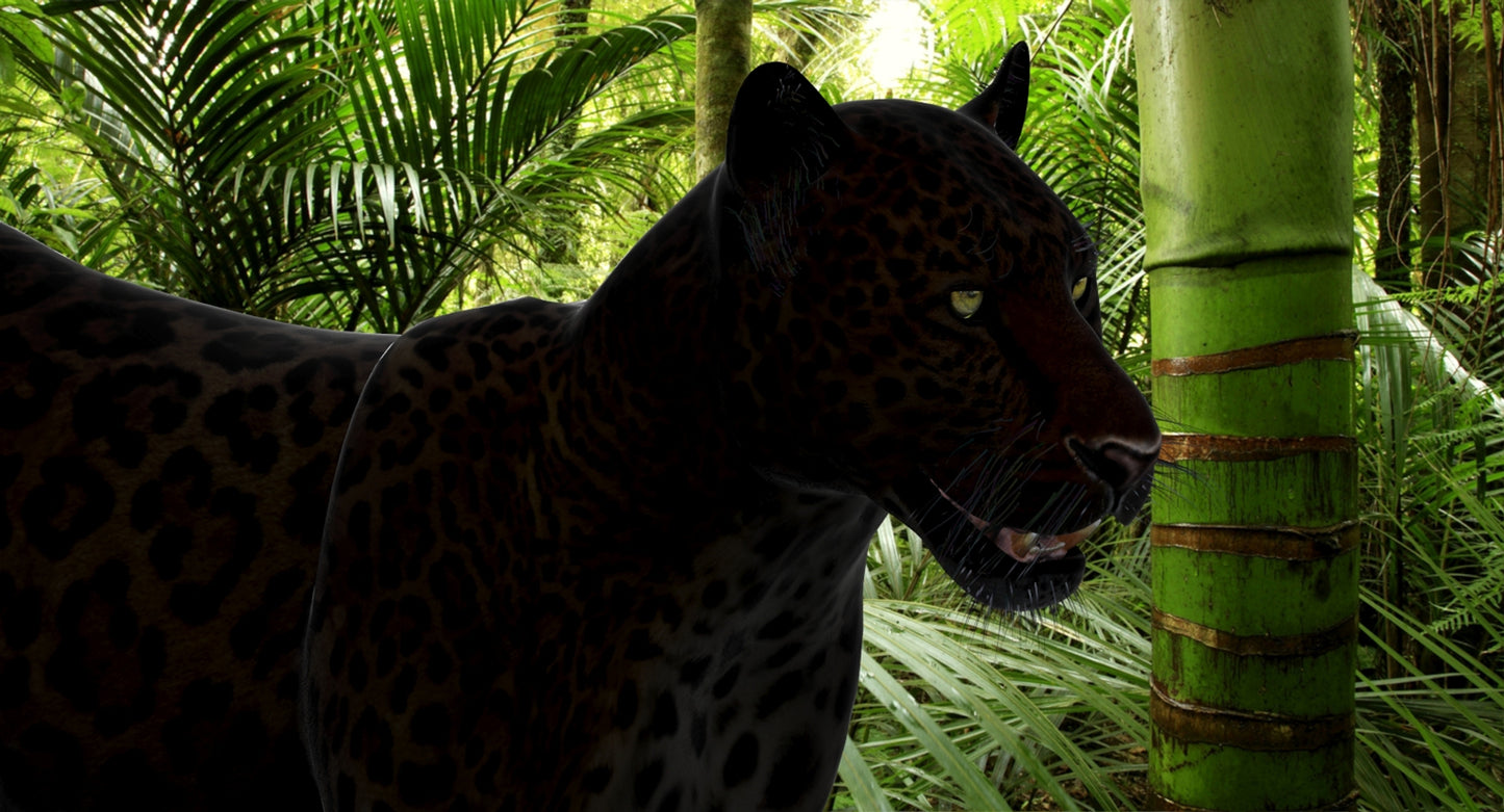 Big Cats 03 3D Model