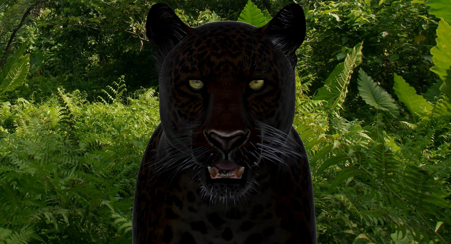 Big Cats 03 3D Model