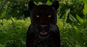 Big Cats 3D Model Thumbnail