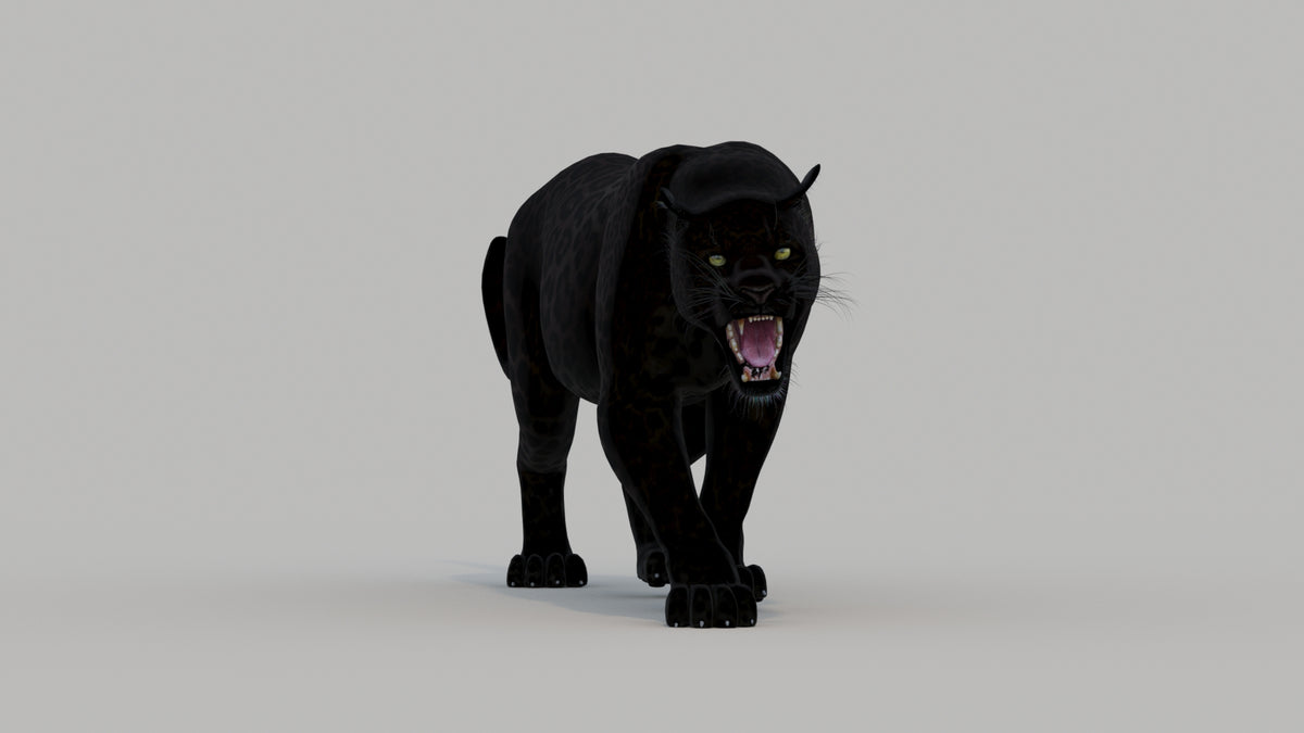 Animated Black Panther Animal 3D Model - 360 Degree View