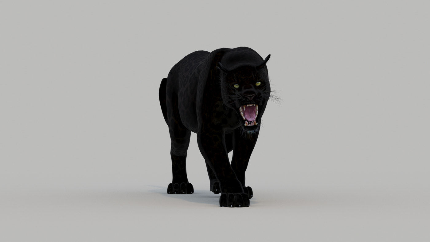 Animated Black Panther Animal 3D Model - 360 Degree View