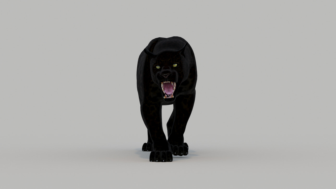 Animated Black Panther Animal 3D Model - 360 Degree View