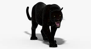 Big Cats 3D Model Animated Thumbnail