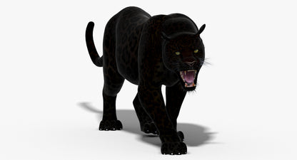 Big Cats 3D Model Animated