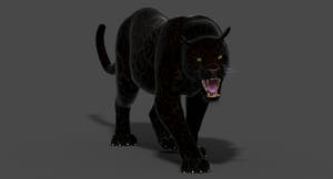 Big Cats 3D Model Animated Thumbnail