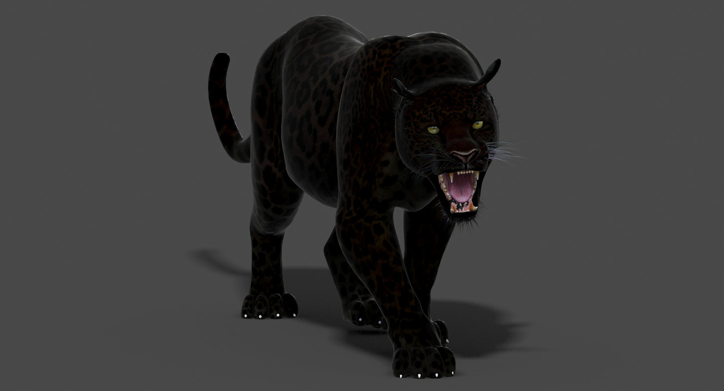 Big Cats 3D Model Animated