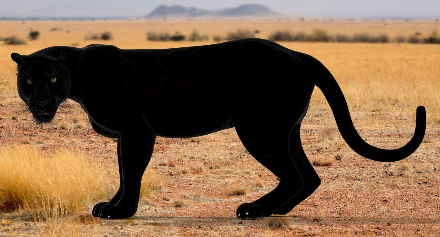 Big Cats 3D Model Animated