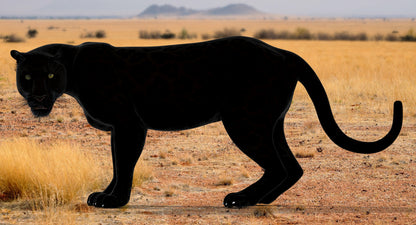 Big Cats 3D Model Animated
