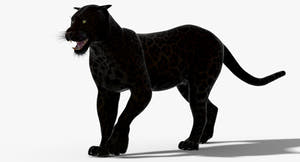 Big Cats 3D Model Animated Thumbnail
