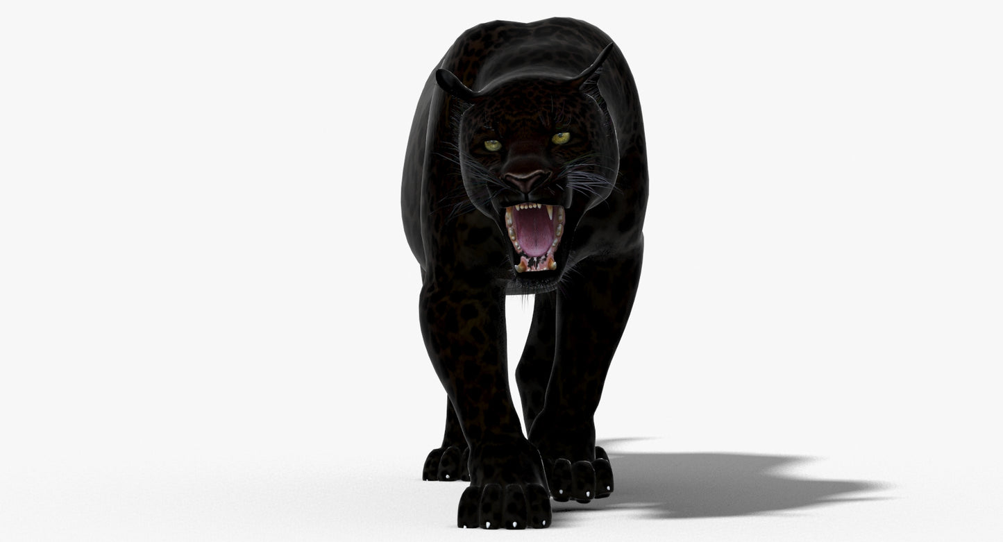 Big Cats 3D Model Animated