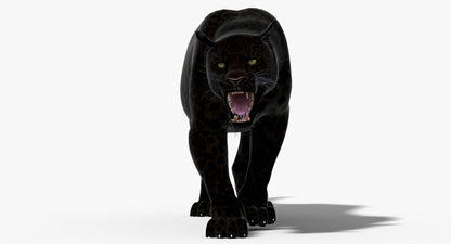 Big Cats 3D Model Animated