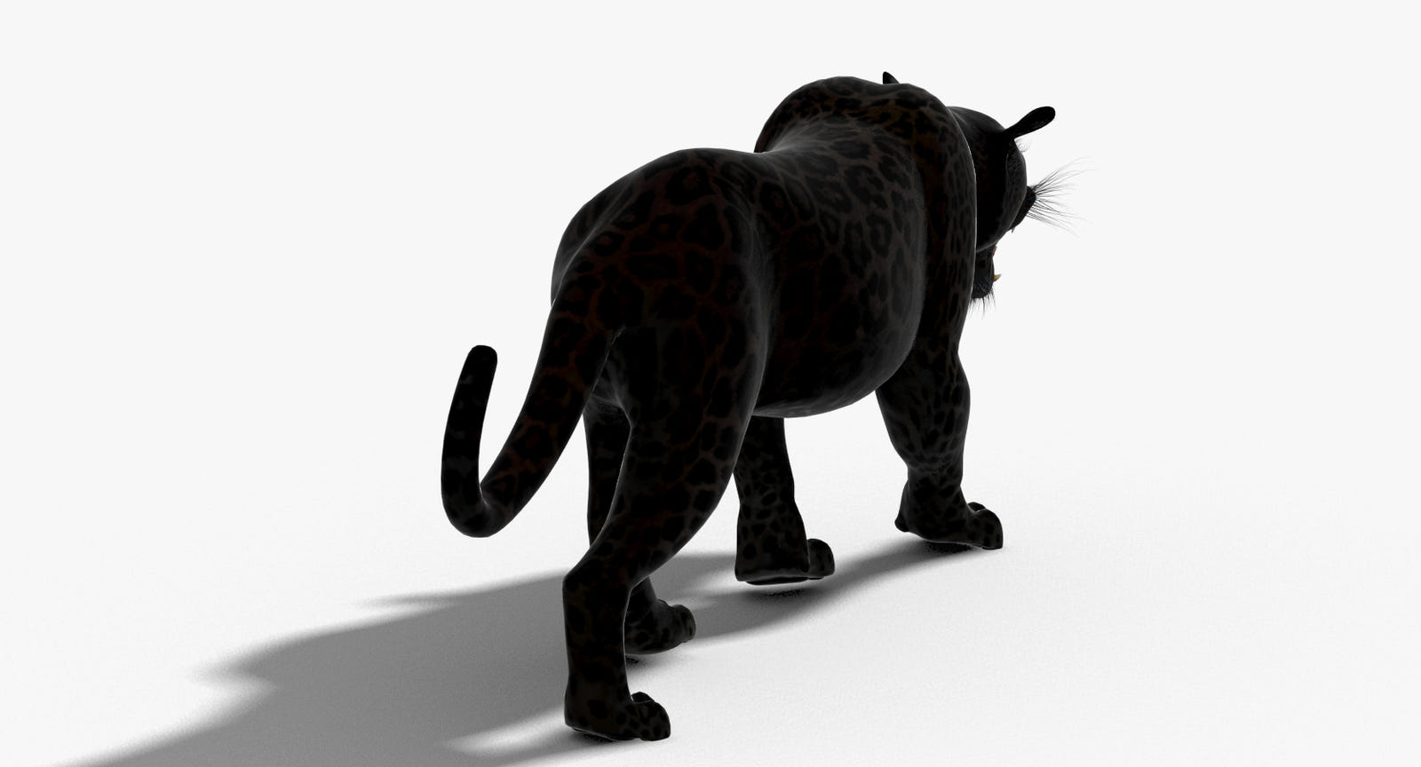 Big Cats 3D Model Animated