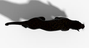 Big Cats 3D Model Animated Thumbnail