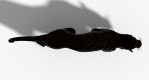 Big Cats 3D Model Animated Thumbnail