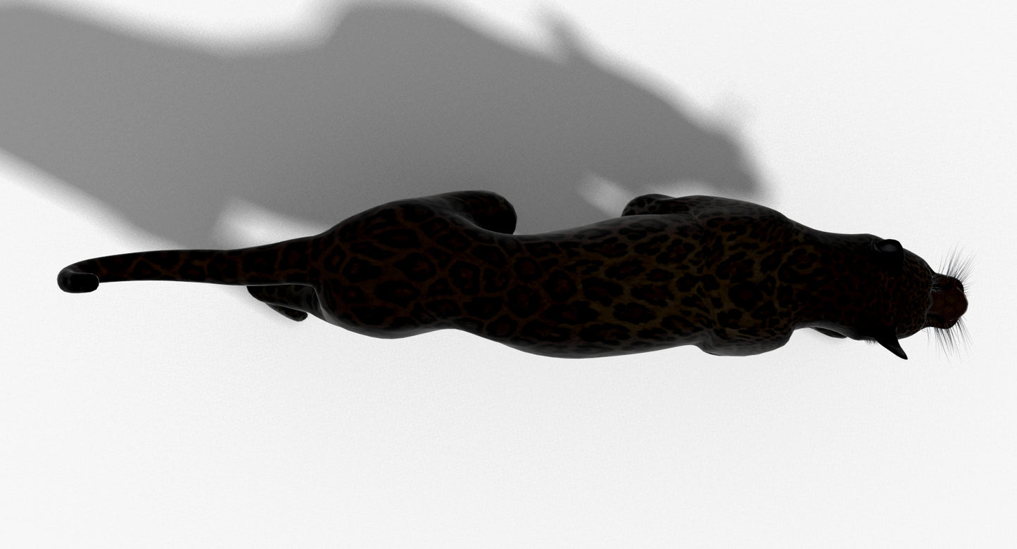 Big Cats 3D Model Animated