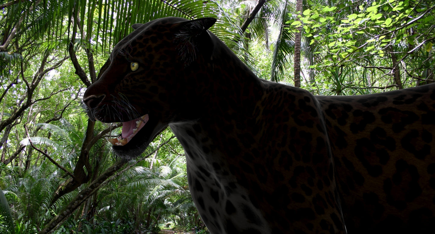 Big Cats 3D Model Animated