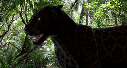 Big Cats 3D Model Animated